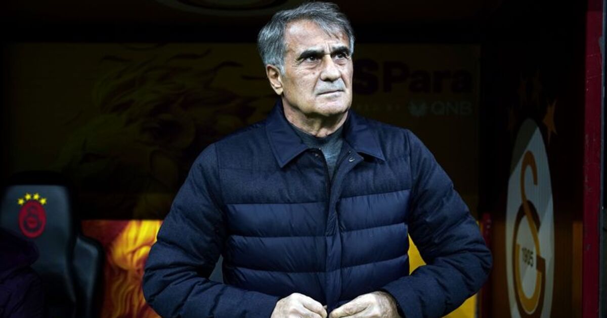 Şenol Güneş: Talihsiz bir şekilde gol yedik!